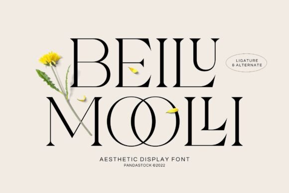 Beilu Moolli: A Serif Font for Creative Projects