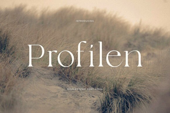 Profilen: A Refined Serif for Editorial Design
